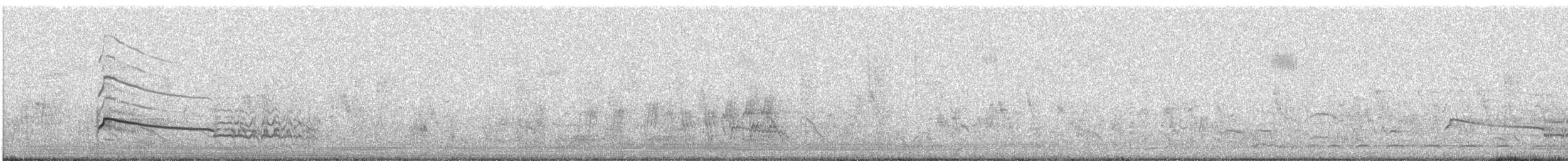 luňák hnědý (ssp. lineatus/formosanus) - ML295892741