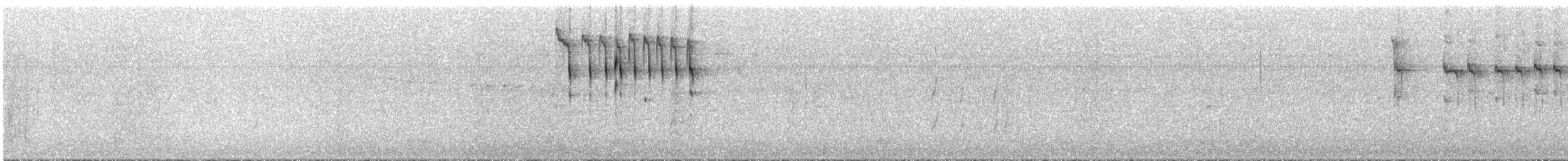 Isabellstreifen-Meisenschlüpfer - ML295901