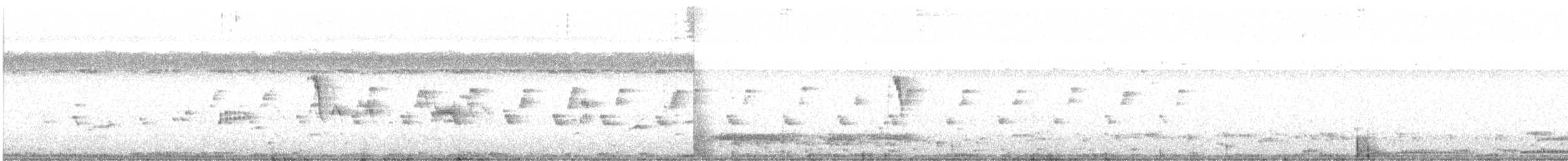 Bergeronnette printanière ou B. de Béringie - ML295910351