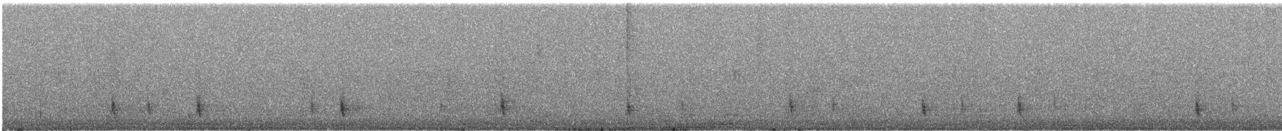 Дрізд-короткодзьоб плямистоволий - ML295989141