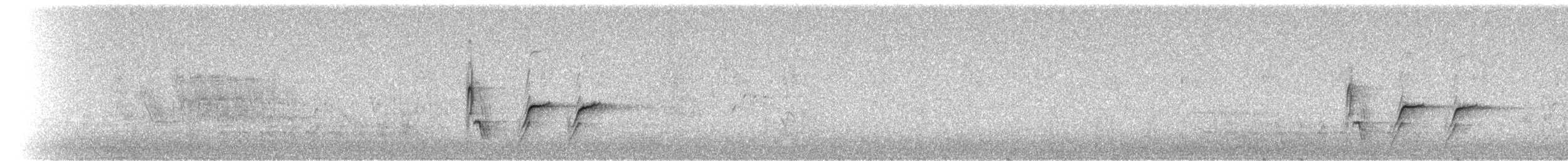 Тауї плямистий - ML29599081