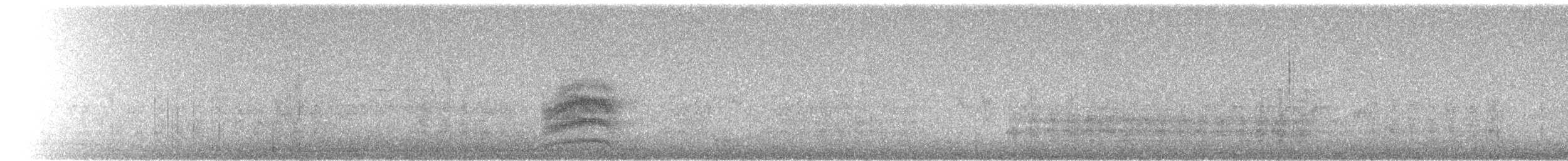 Тауї плямистий - ML29599161