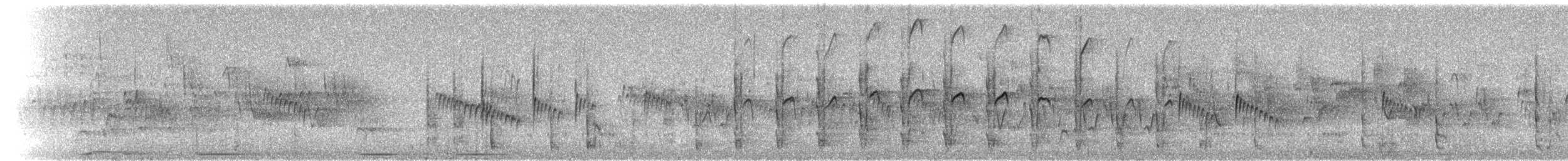 Haarspecht - ML29600421