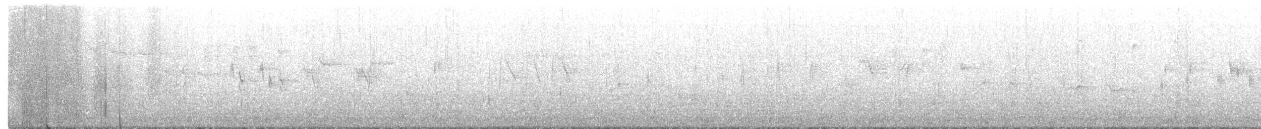 White-throated Dipper - ML296034081