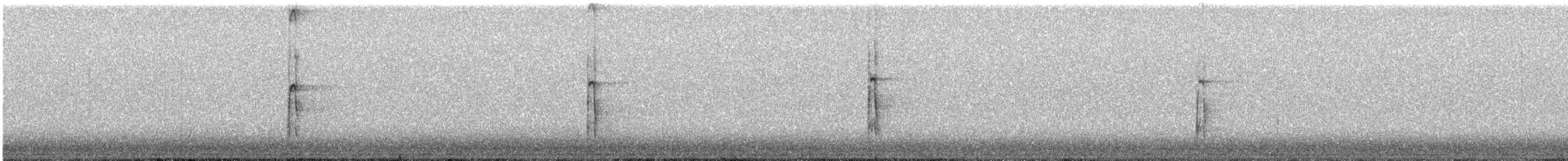 Hairy Woodpecker - ML296042471