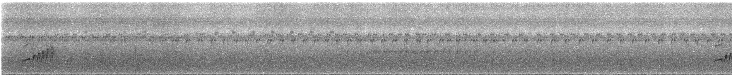 Zeytin Göğüslü Sinek Tiranı - ML296131