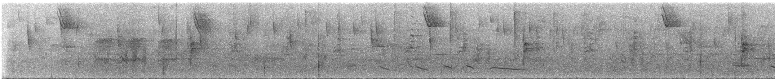 Spot-winged Parrotlet - ML296144