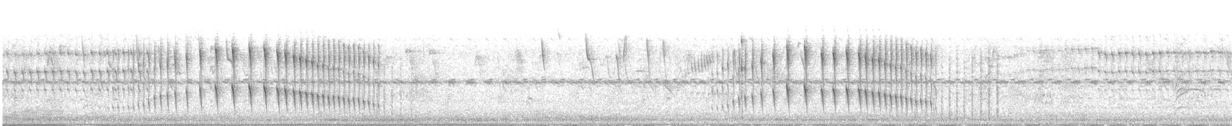 Curve-billed Reedhaunter - ML296163441