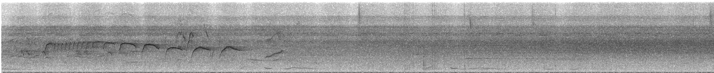 Braunbrust-Glanzvogel - ML296241