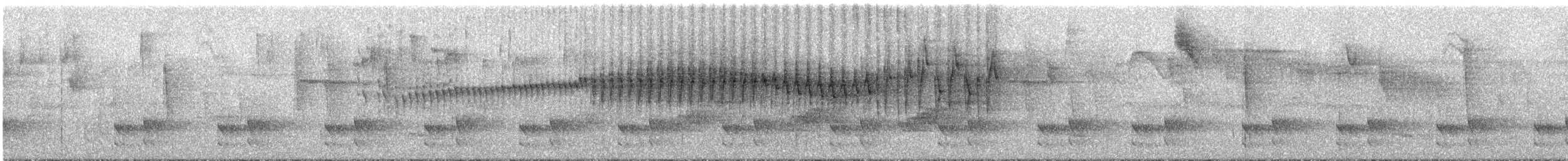 ミスジアメリカムシクイ（tristriatus／baezae） - ML296308