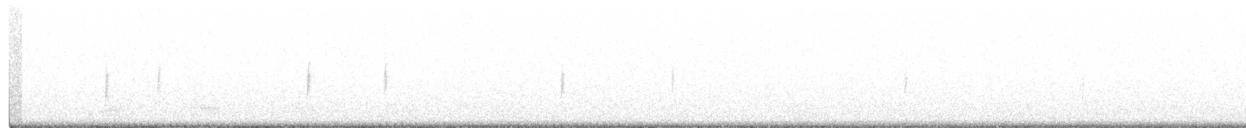 Paruline à croupion jaune (auduboni) - ML296315781