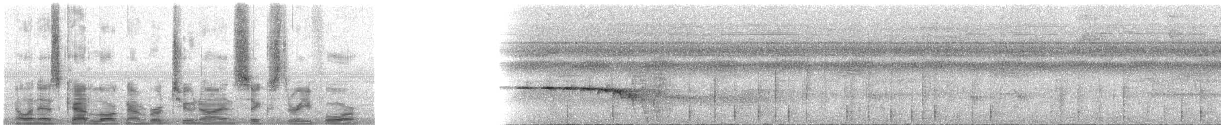 Kuzeyli Kestanerengi Karıncakuşu (hemimelaena) - ML29634