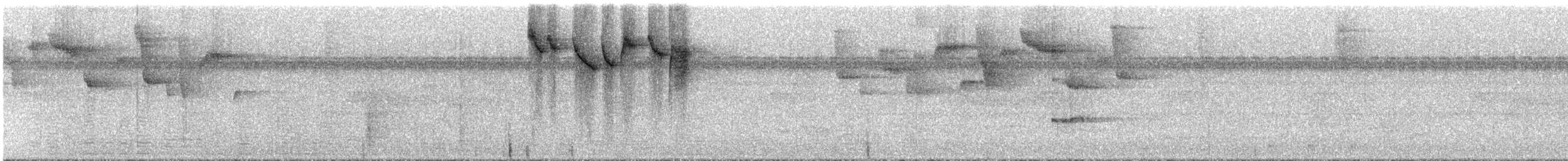 Band-tailed Barbthroat - ML296407