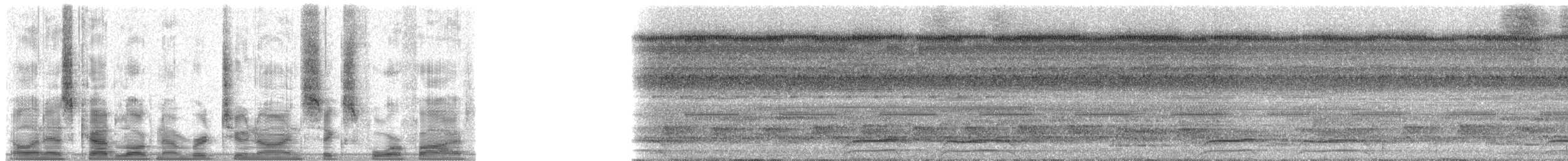 Лінивка-чорнопер червонодзьоба - ML29645