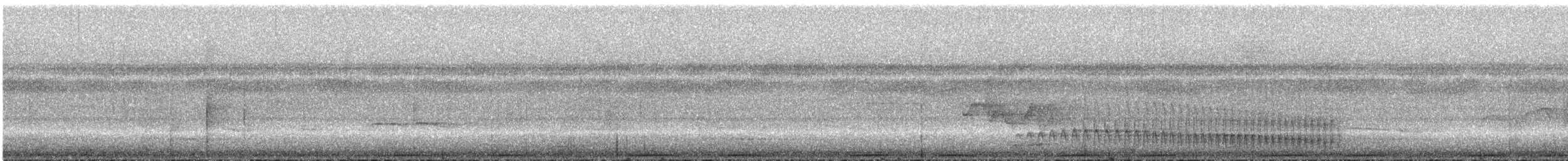 auroraskjeggfugl - ML296450