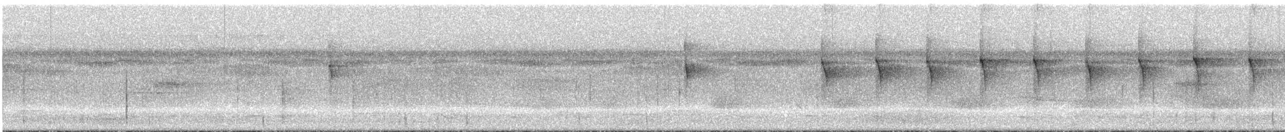 Schwarzflecken-Todityrann - ML296466