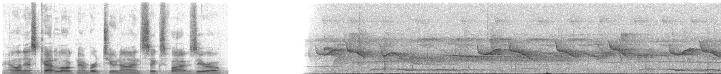 Белокрылая сорокопутовая танагра - ML29650
