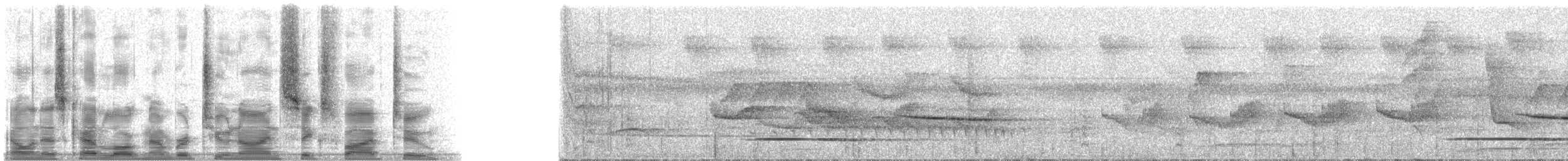 Tinamou de Bartlett - ML29652