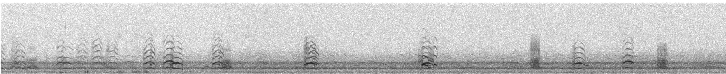 ハクガン - ML296524211