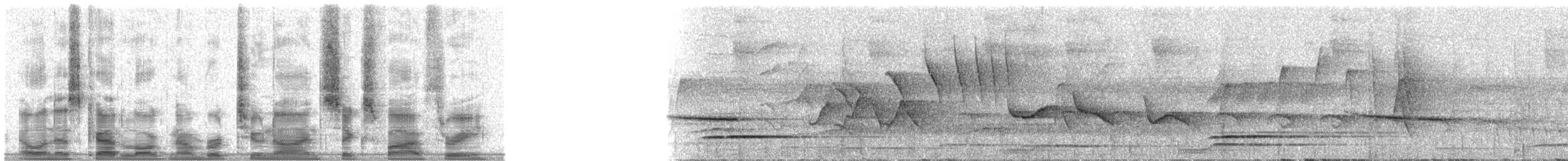 Белокрылая сорокопутовая танагра - ML29653