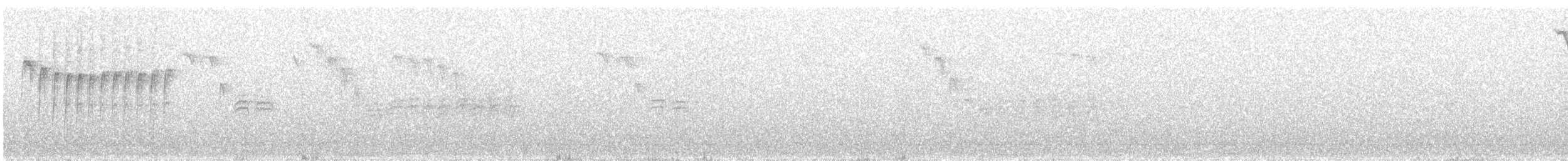sýkora karolínská - ML296583611