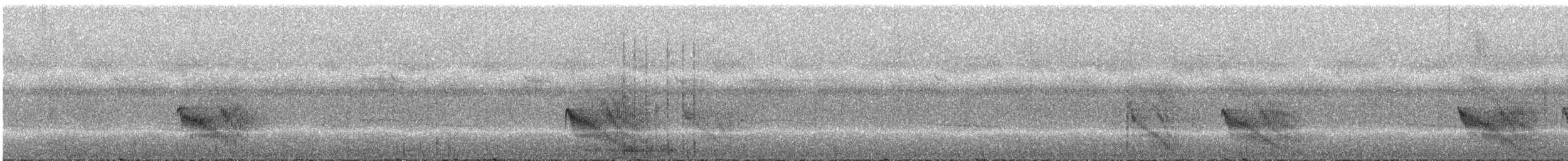 Rotspiegel-Ameisenvogel - ML296586