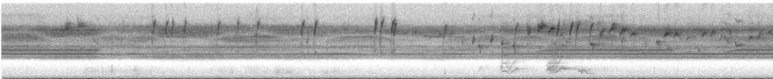 Rotbauchtangare - ML296633