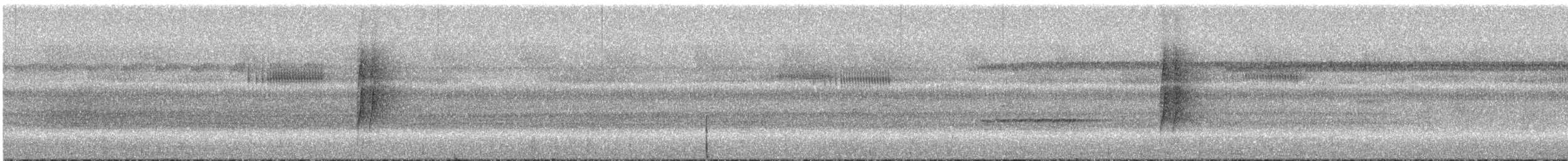 Tüpfelwangen-Ameisenvogel - ML296659
