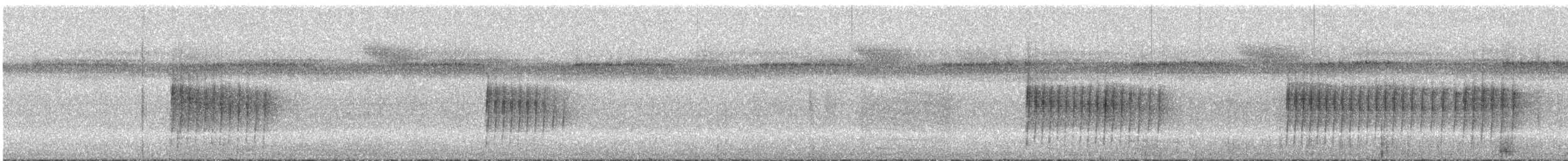Tüpfelwangen-Ameisenvogel - ML296666