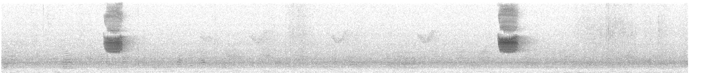 Büyük Islıkçı Bülbülü [flavirostris grubu] - ML296693571