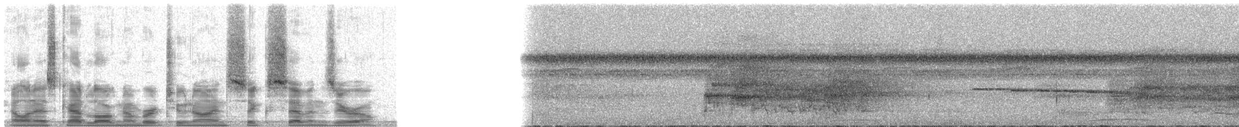 Kara Kuyruklu Trogon [melanurus grubu] - ML29670