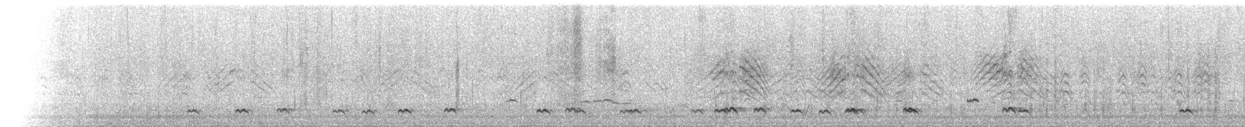 Northern Pintail - ML296739971