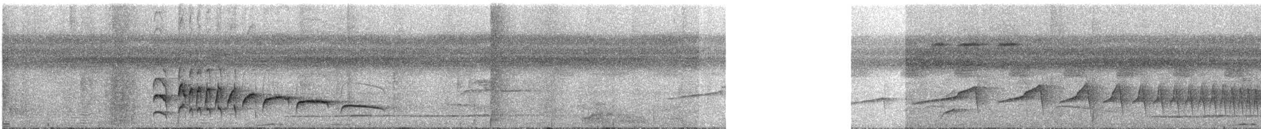 Тиран-плоскодзьоб темнохвостий - ML297080711