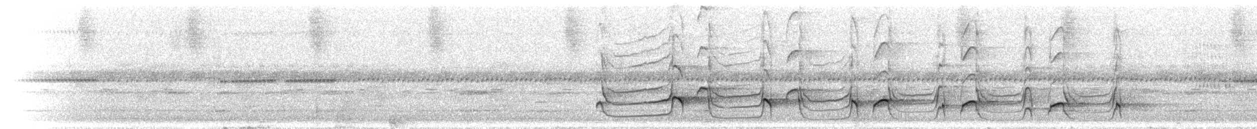 Толстоклювый мечник [группа promeropirhynchus] - ML297114