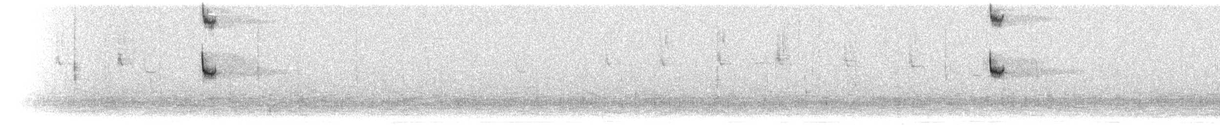 Белобородая горная нимфа - ML297120