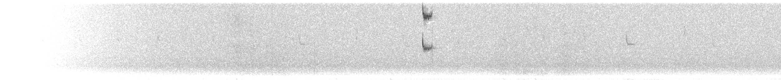 hvitskjegghjelmkolibri - ML297121