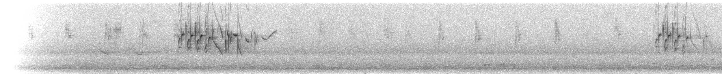 meridablomsterborer - ML297125