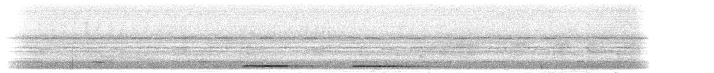 Gray Tinamou - ML297133