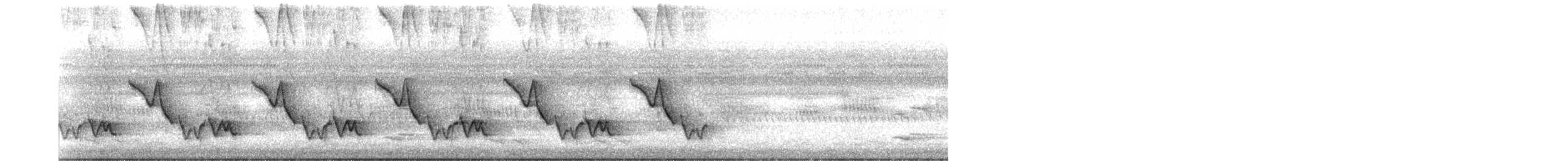 Troglodyte de Zeledon - ML297139681