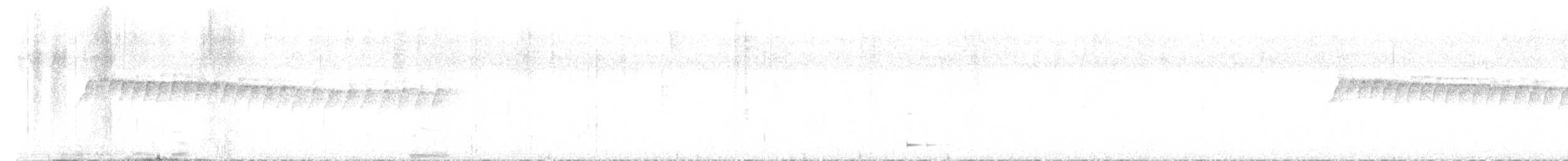 White-browed Gnatcatcher - ML297162281
