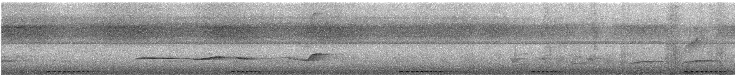 Дроздовая сельвиния [группа turdina] - ML297183761
