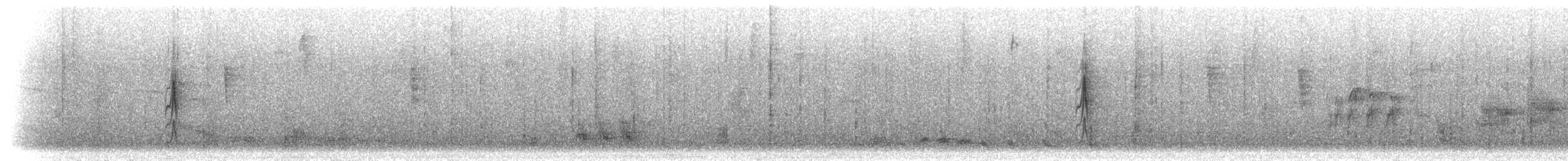 Strichelbrust-Dickichtschlüpfer - ML297188