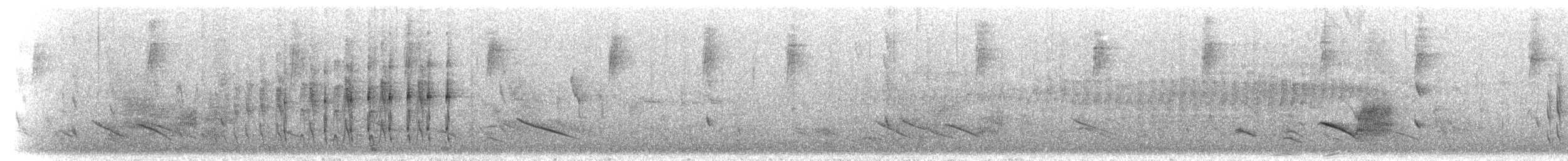 Strichelbrust-Dickichtschlüpfer - ML297189