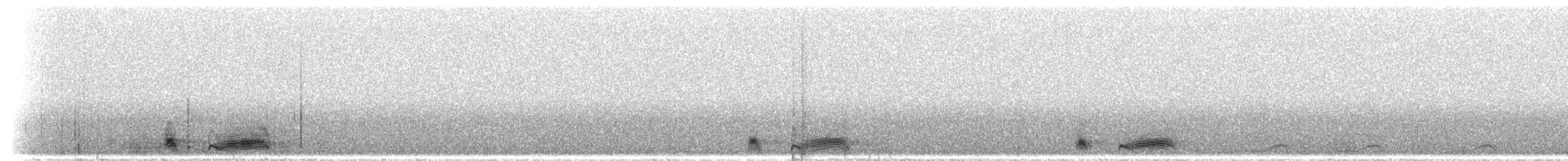 Ecuadornachtschwalbe - ML297192