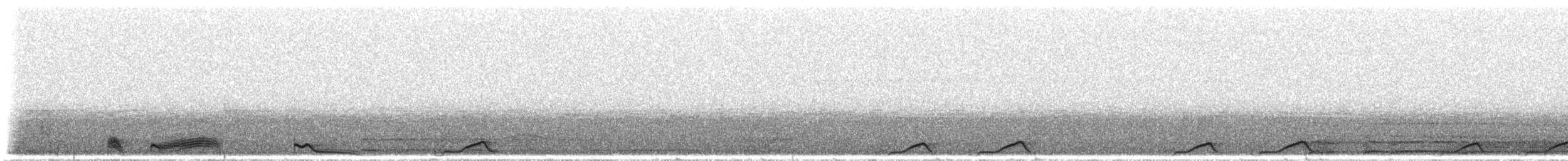 Ecuadornachtschwalbe - ML297193
