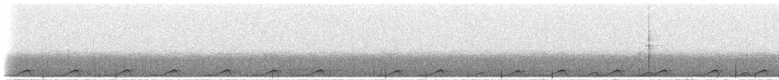 Ecuadornachtschwalbe - ML297194