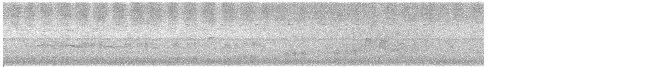 Tropical Shearwater - ML297230331