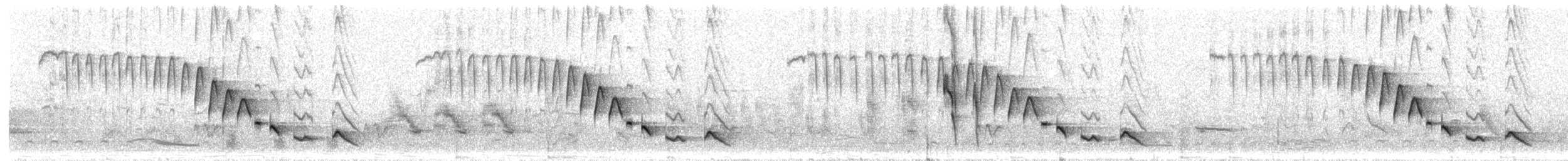 Superciliated Wren - ML297231