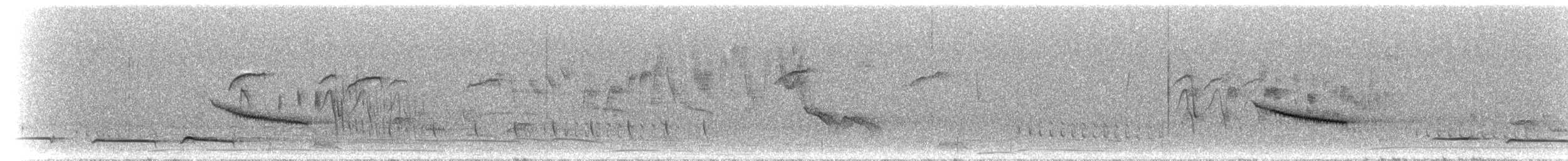 Merle de Reeve - ML297255