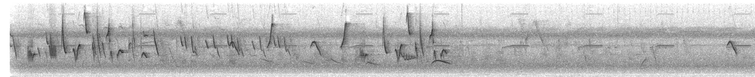 brunhakefrøeter - ML297290